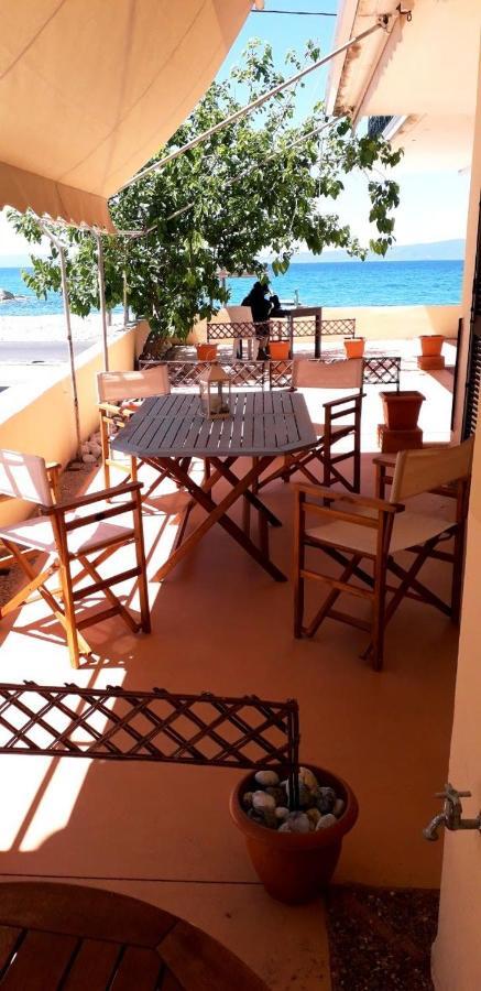 Aggelika'S Home Ακρογιάλι Εξωτερικό φωτογραφία