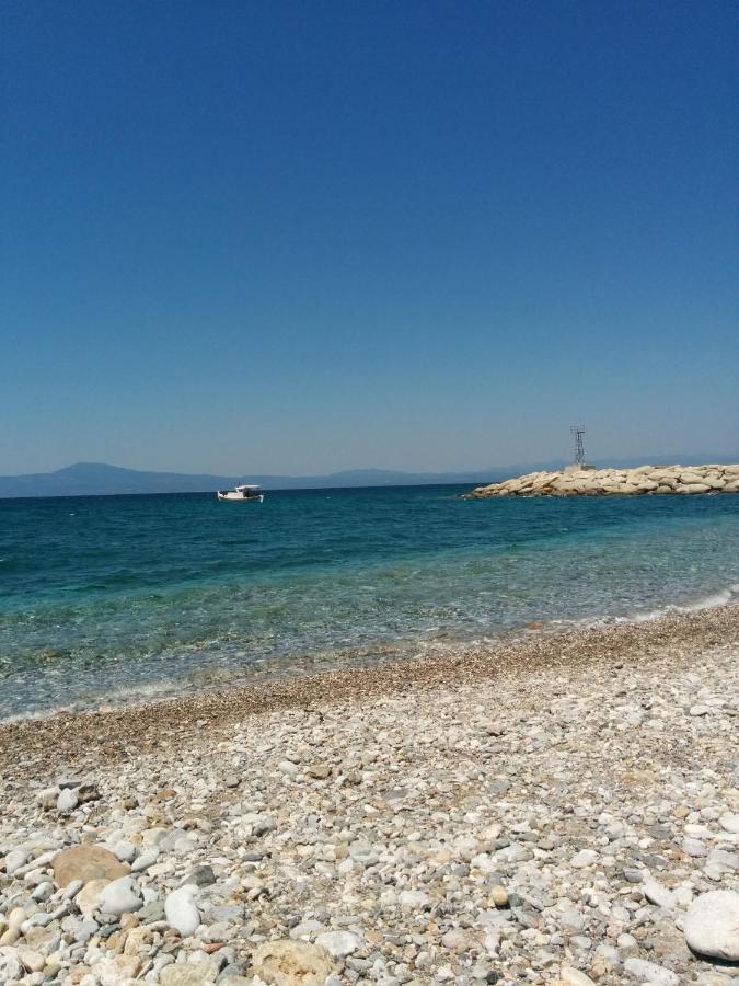 Aggelika'S Home Ακρογιάλι Εξωτερικό φωτογραφία